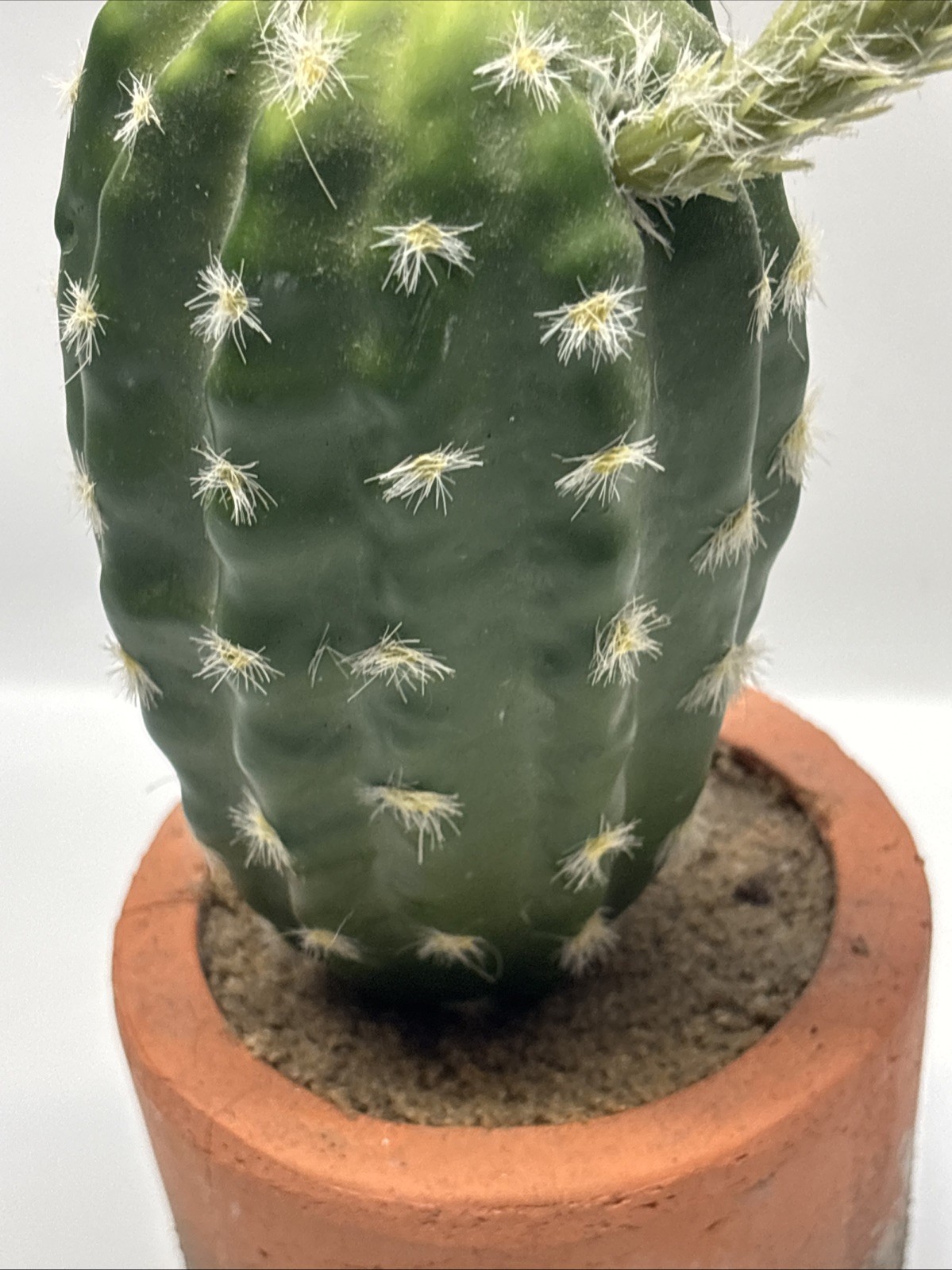 artificial Faux cactus home decor Style Modern Decor Inside In Terra Cotta 12”