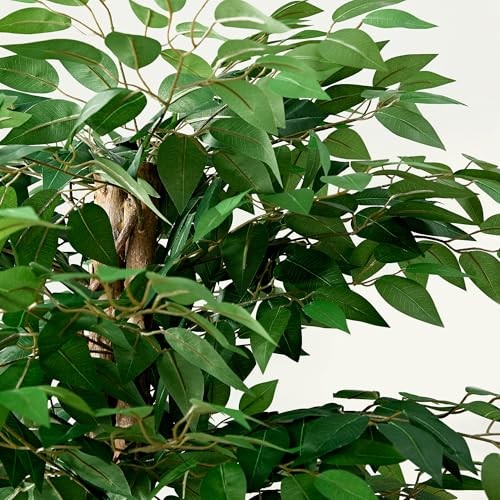 Artificial Ficus Tree with Sturdy Nursery Pot, 5FT Faux Silk Ficus Green(5ft)