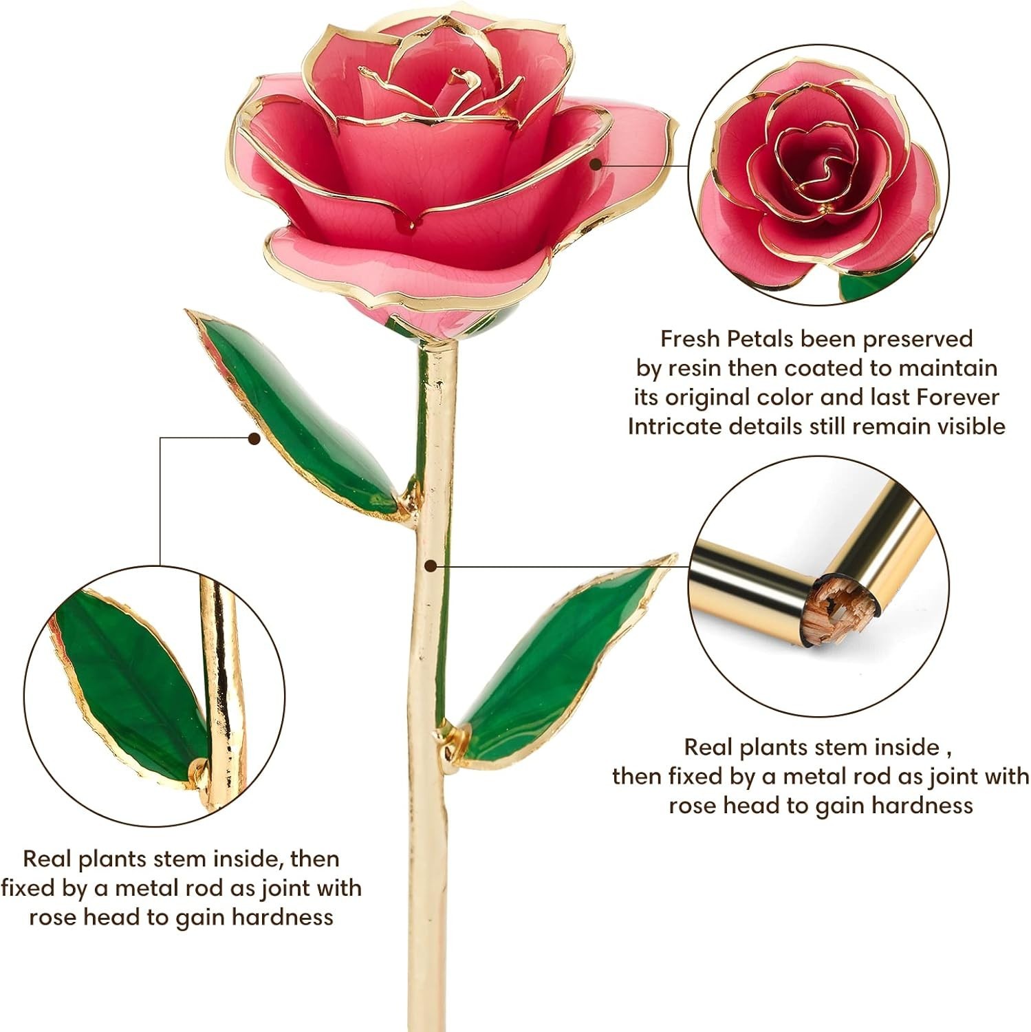 Gold Dipped Infinity Rose Last Forever Flower Decor, Birthday Gift for Women …