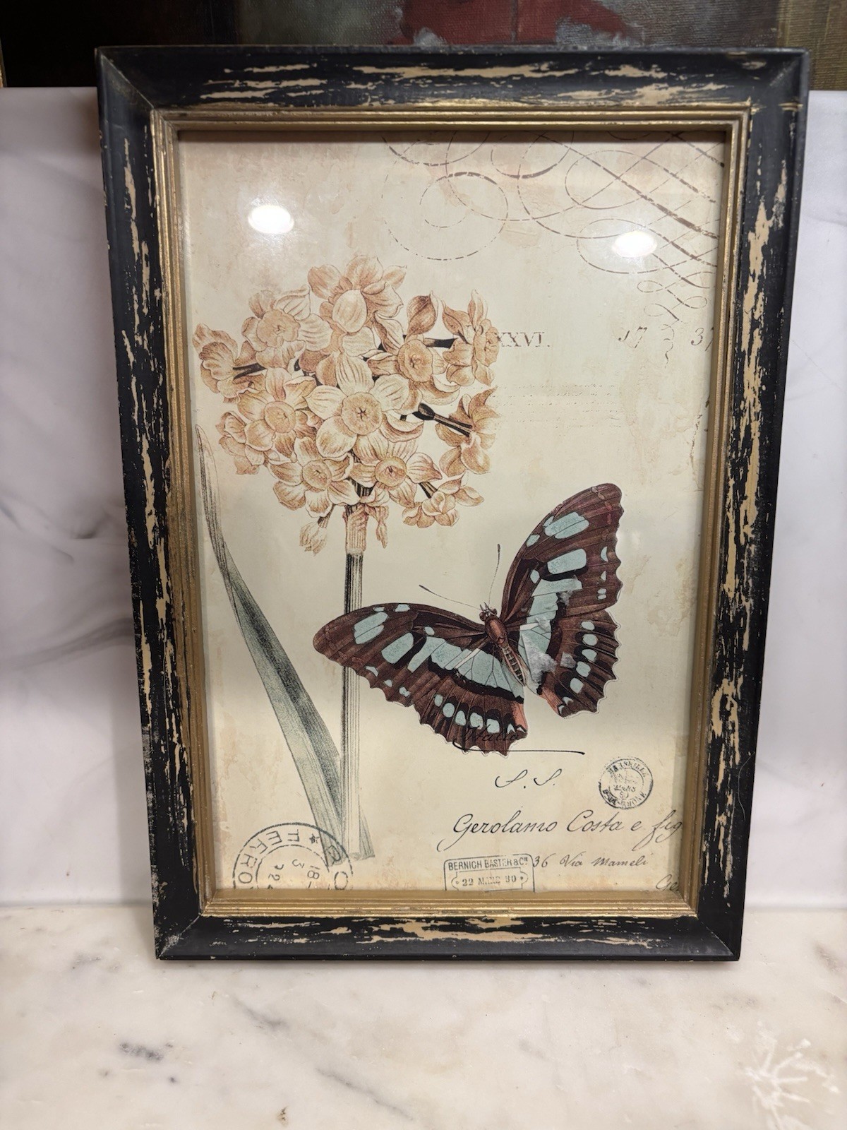 Vintage Style Butterfly & Floral Garden Room Wall Art Decor, Shabby Chic