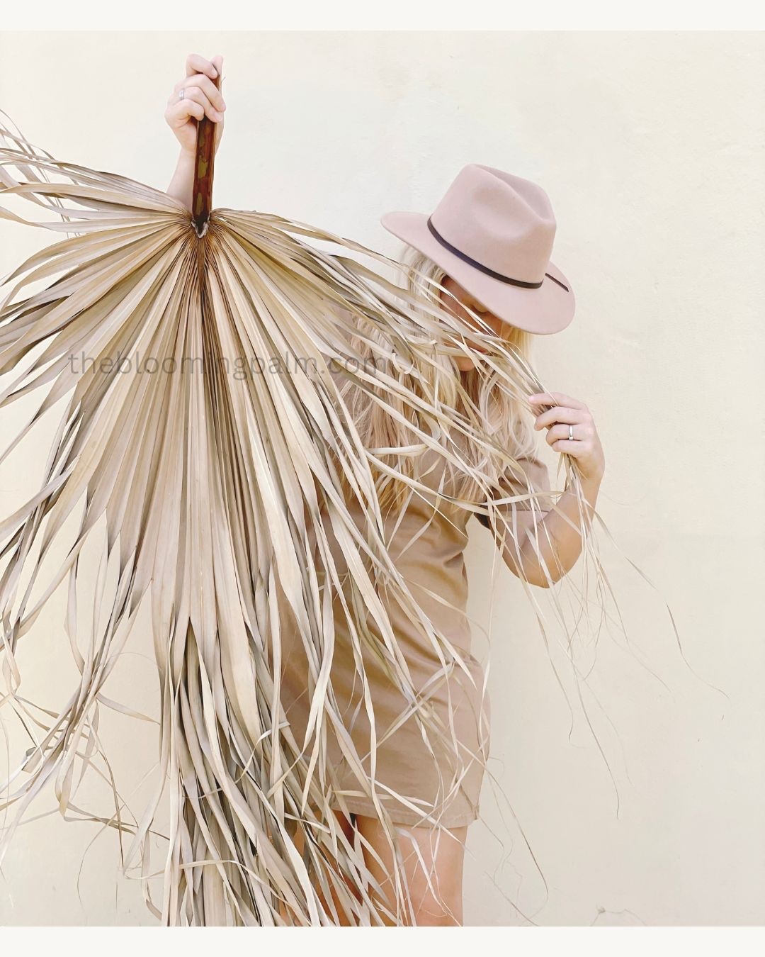 1 Pc Jumbo XL Dried Palm Leaf Party & Home & Wedding Decor 4ft From Stem To Leaf