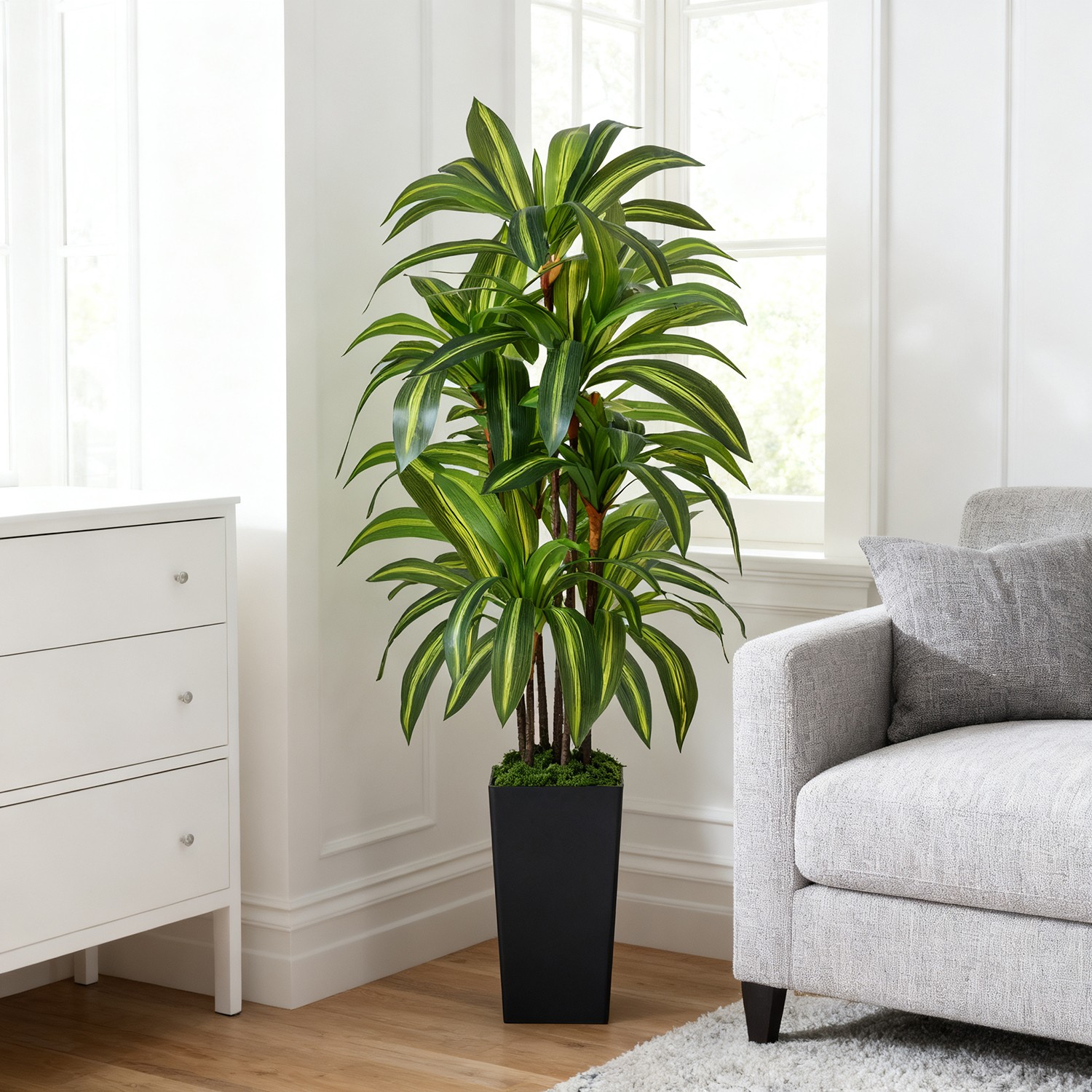 NOVAROOT 5FT Artificial Dracaena Tree Indoor Faux Plants Planter for Home Decor