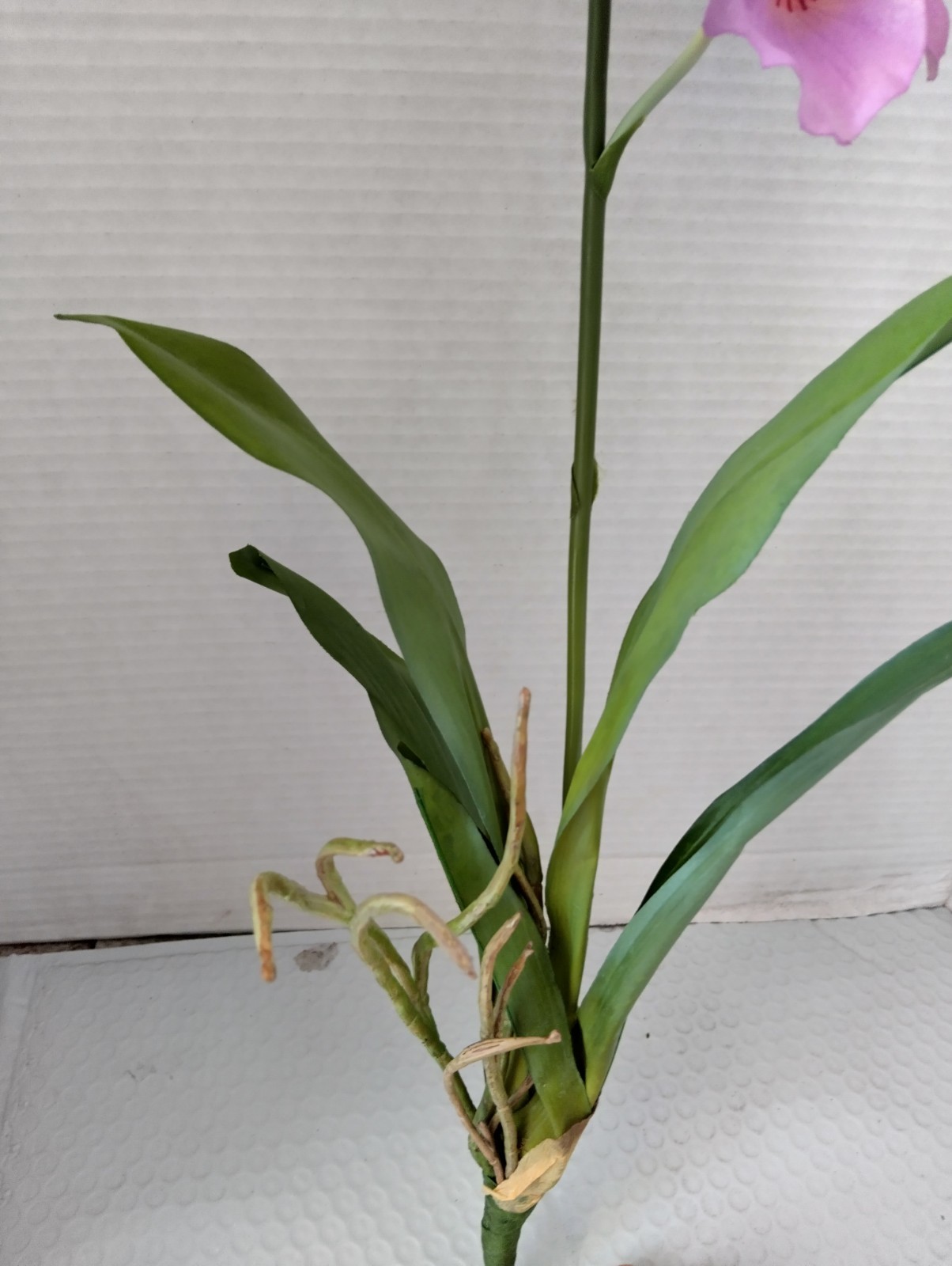 ARTIFICIAL miltoniopsis orchid plant