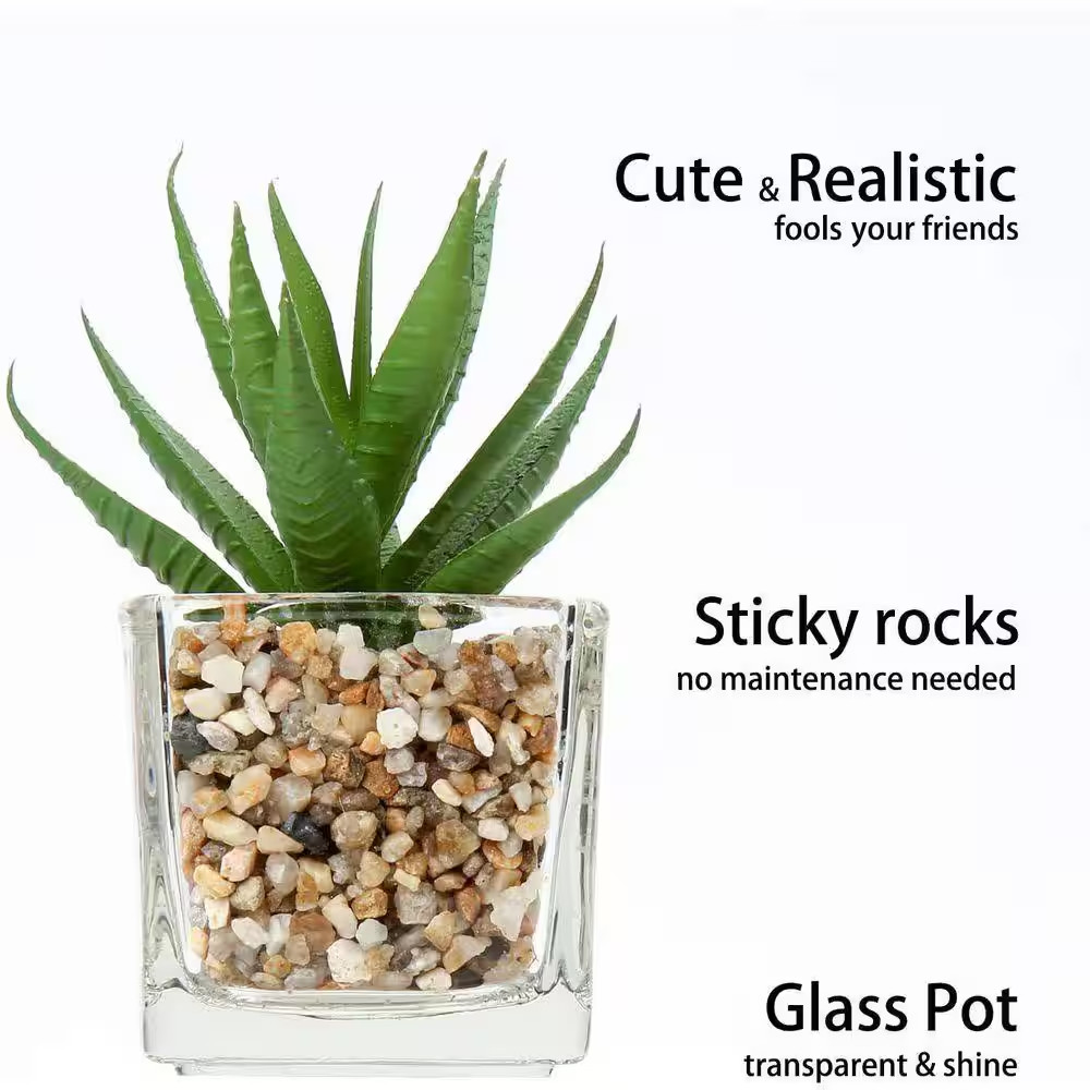 4.13 In. H Green Indoor Succulents Artificial Plant in Clear Glass Pots for Wind