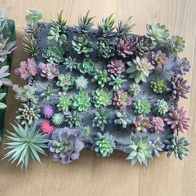 12pc Mixed Artificial Succulents Plant Fake Plants Garden Home Office Decoration