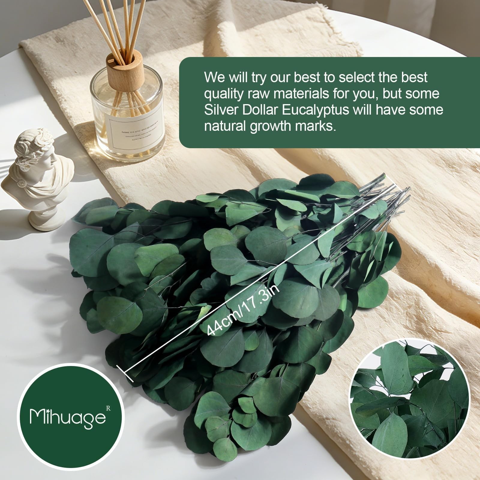20PCS Large Dried Eucalyptus Stems – Real Preserved Fresh Eucalyptus Plant fo…