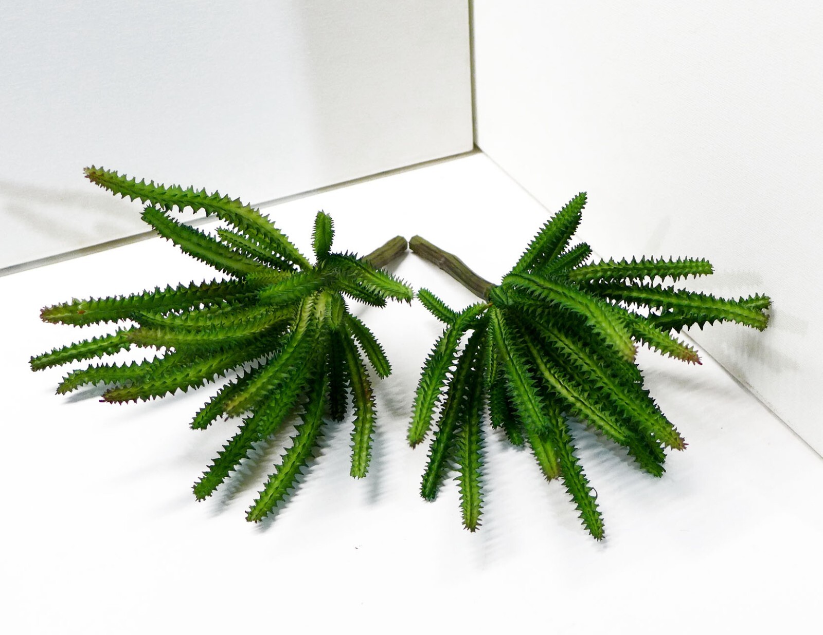 2 Pcs Artificial Fake Cactus Column Succulents Plants Green Home Garden (#123 B)