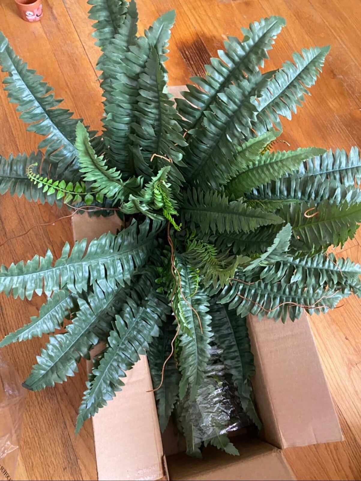 48″ Boston Fern Artificial Bush Plant Pack 2. Retail $103