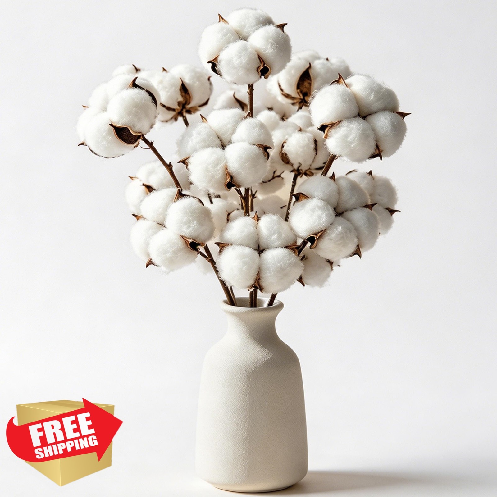 RAINFLOW White Cotton Stems 10 PCS