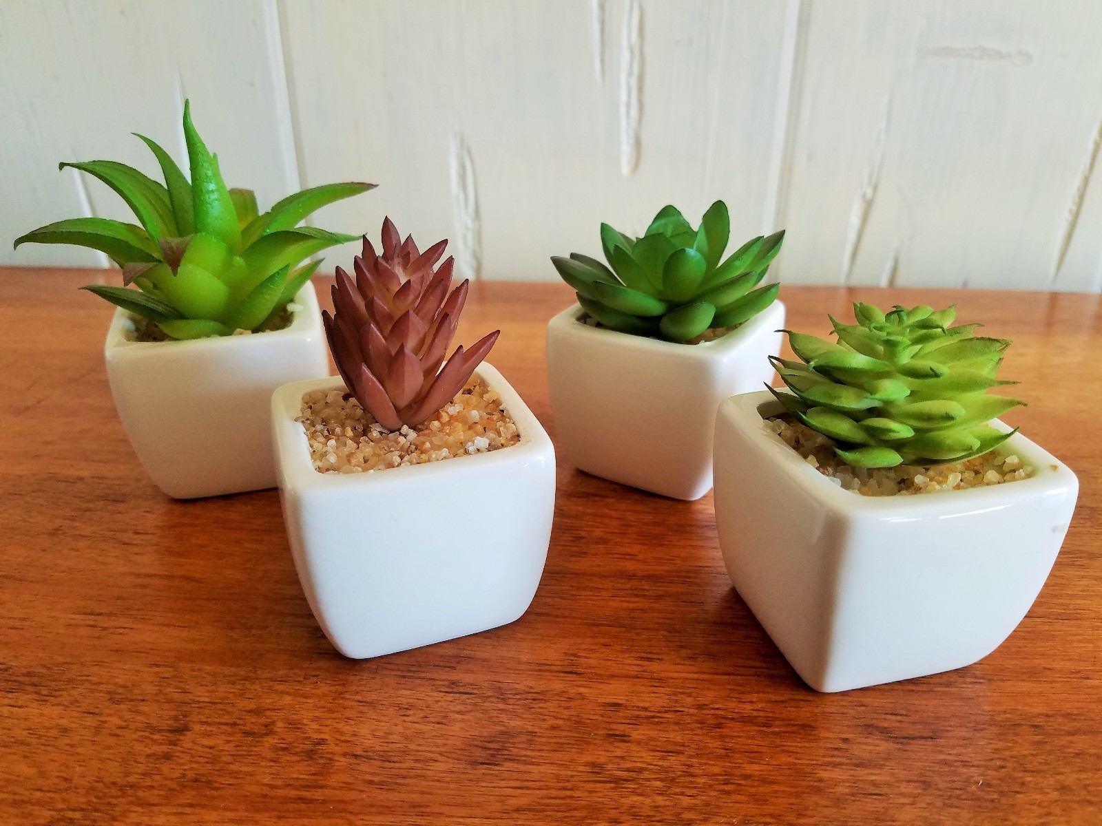 Party Favor Artificial Succulent Set in White Ceramic Pot Mini Plant Home Decor