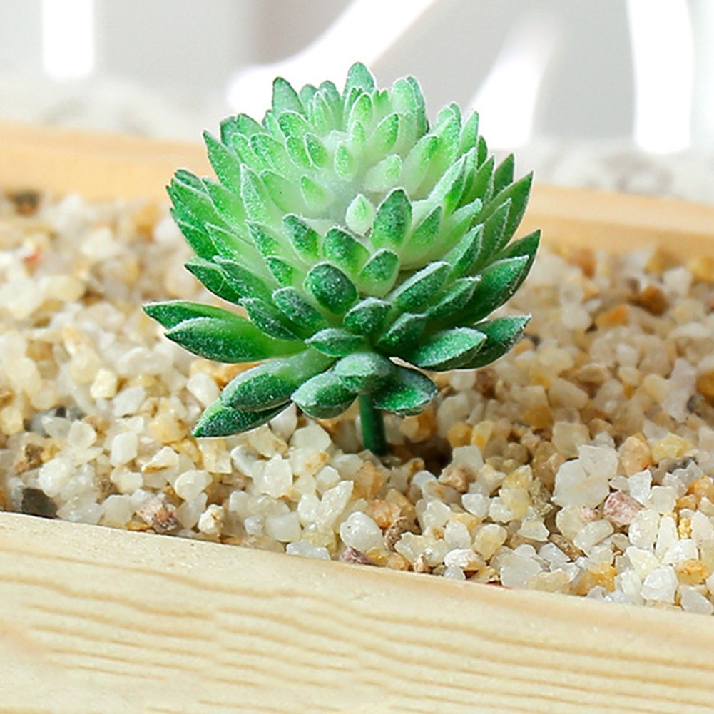 Realistic Artificial Succulent Simulation Plant Perfect for Home and Office