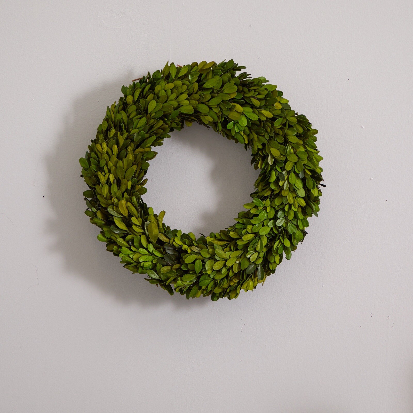 14″ Preserved Real Boxwood Wreath Home Door Decor. Retail $65