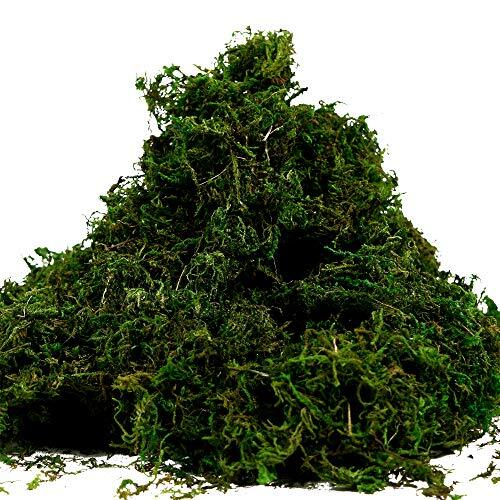 Artificial Moss Fake Green Grass for Centerpieces Home Kitchen 3.5oz, Fresh