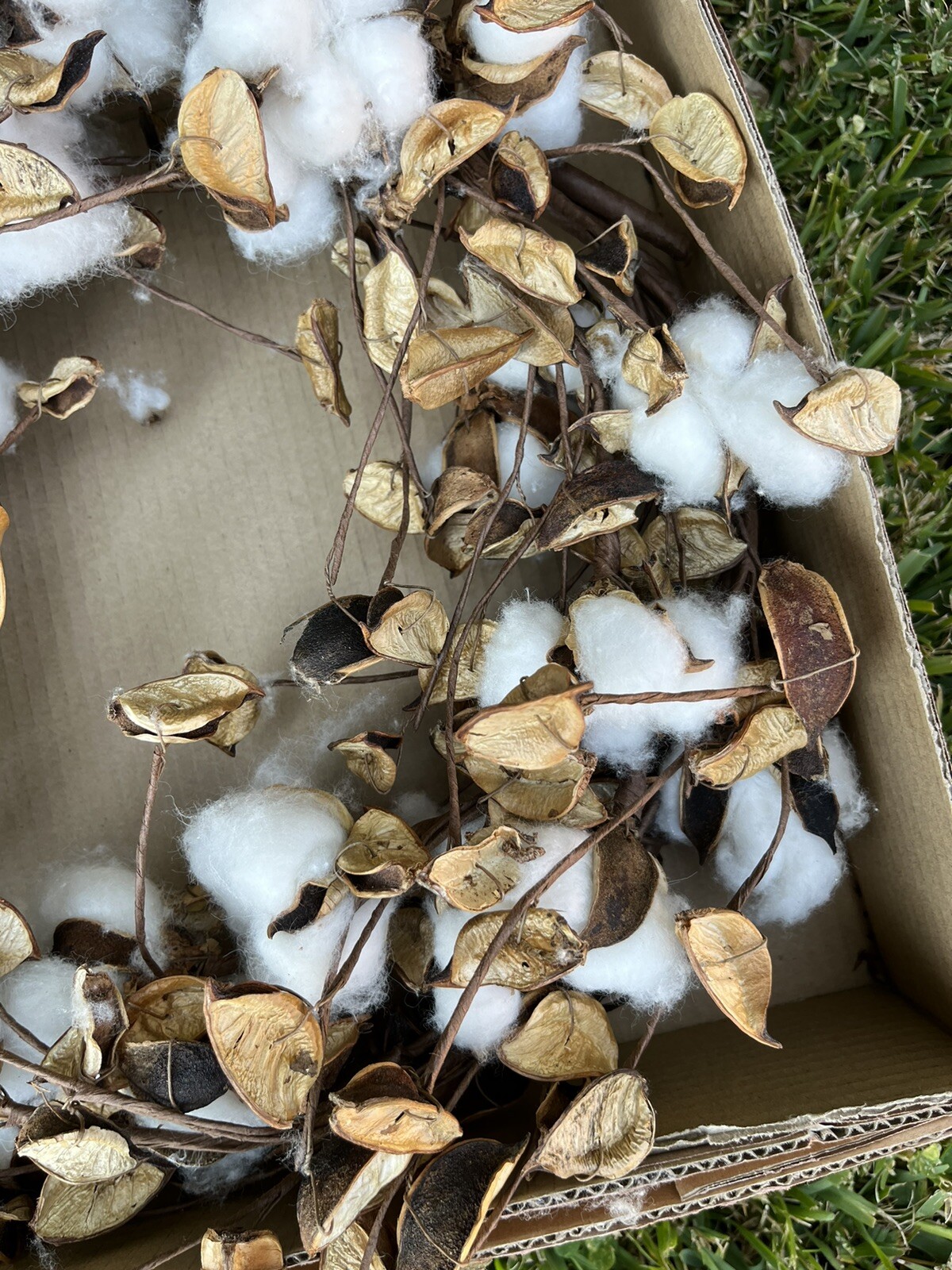 Fall Cotton Stems Wreath 14” New In box