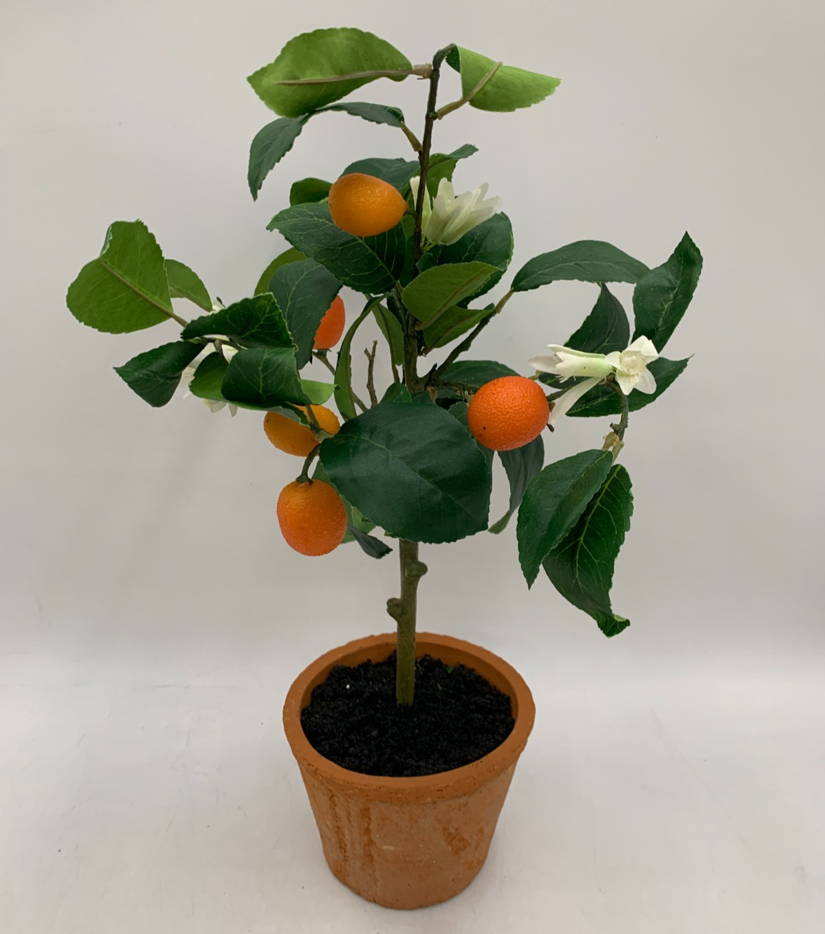 Pottery Barn Faux Potted Citrus Tree Kumquat Small #S9120