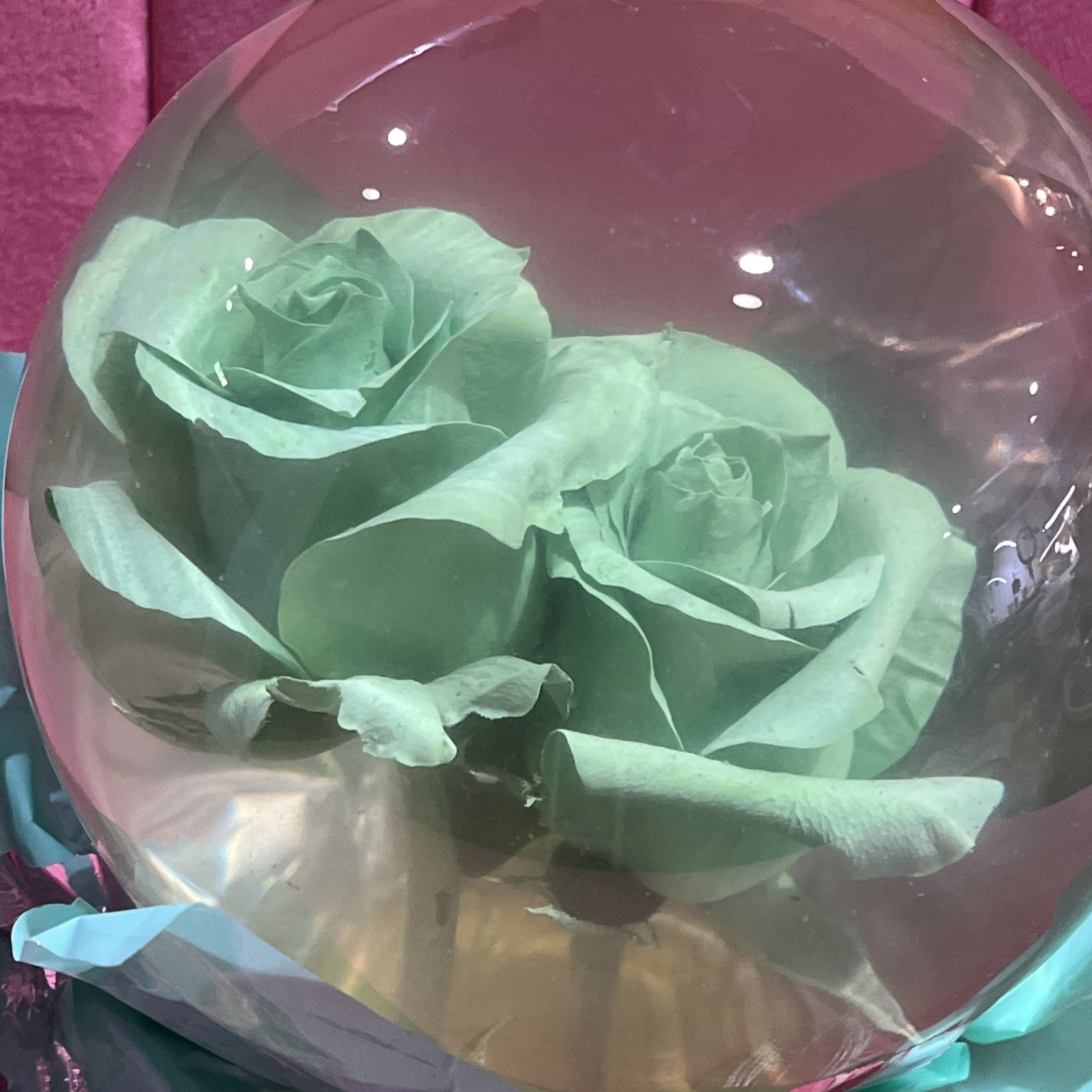 Vtg. Green Eternal Rose Real Preserved Rose Ball In Water Dome/Globe; Lg 6”-7”