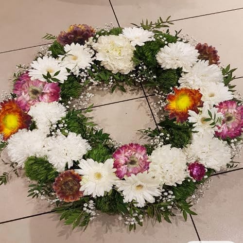 60 Pcs Natural Dried Daisy Flowers Heads Bulk Gerbera Daisies Multicolor Real Su