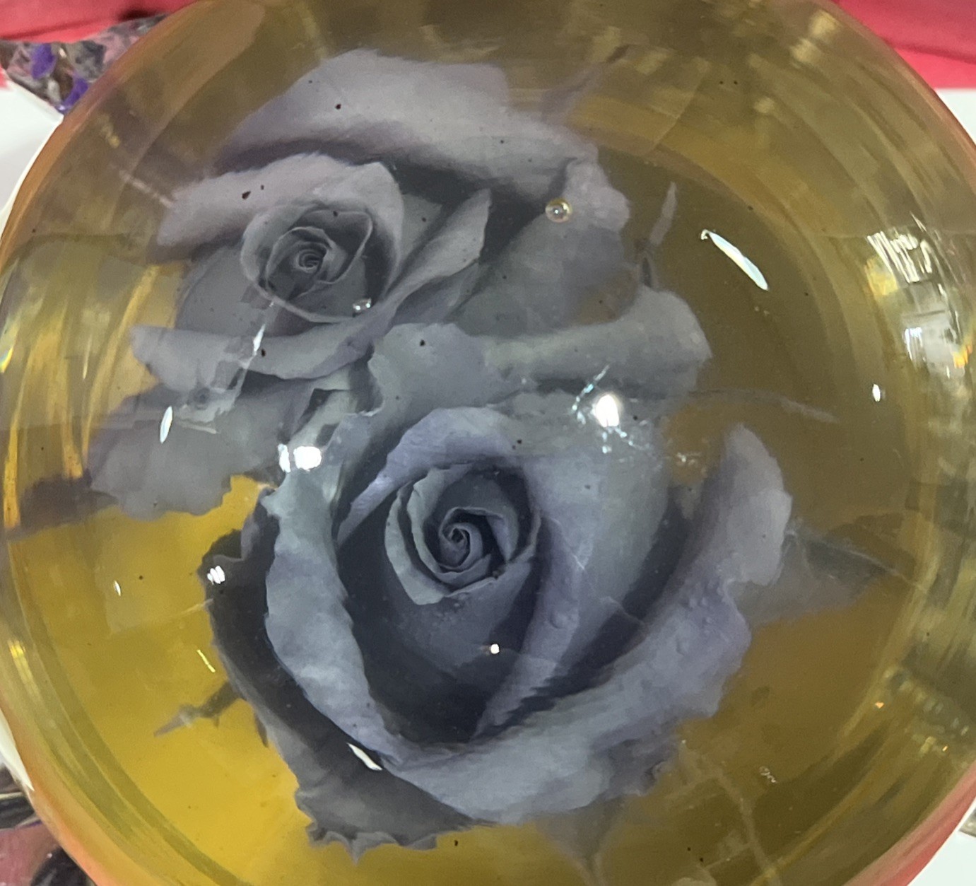 Vtg. Purple Eternal Rose Real Preserved Rose Ball In Water Dome/Globe; Lg 6”-7”
