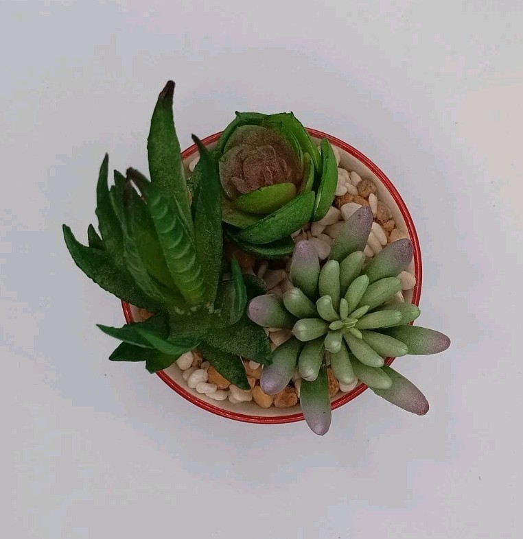 Decorative Artifical 3-Plant Succulent Arrangement In Chevron Print Bowl