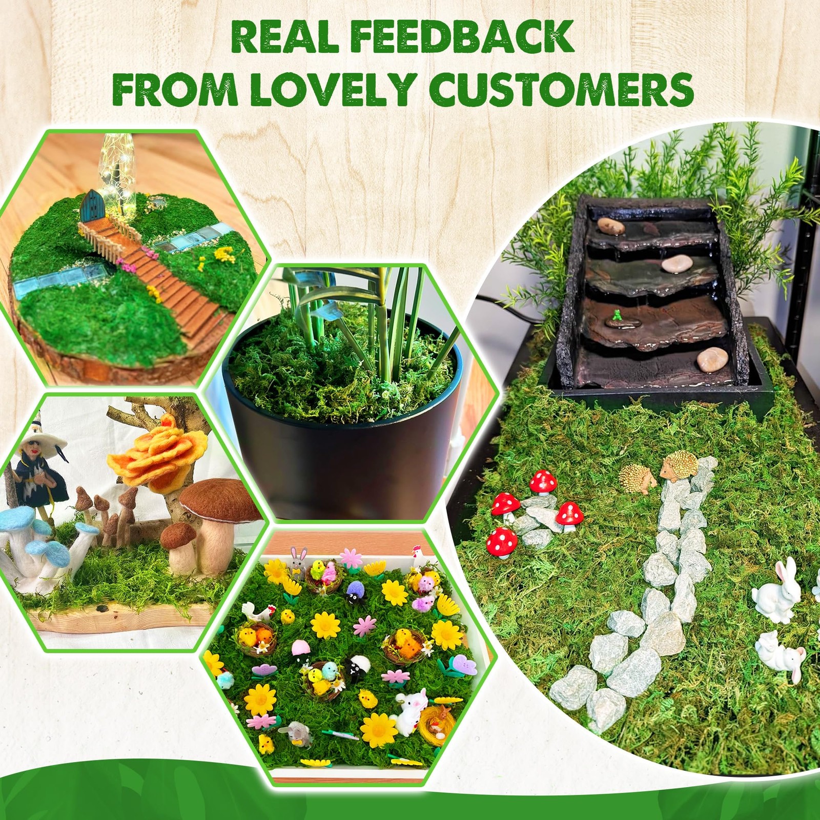 Green Forest Moss for Crafts, Real Dried Decorative Moss for Indoor Planter S…