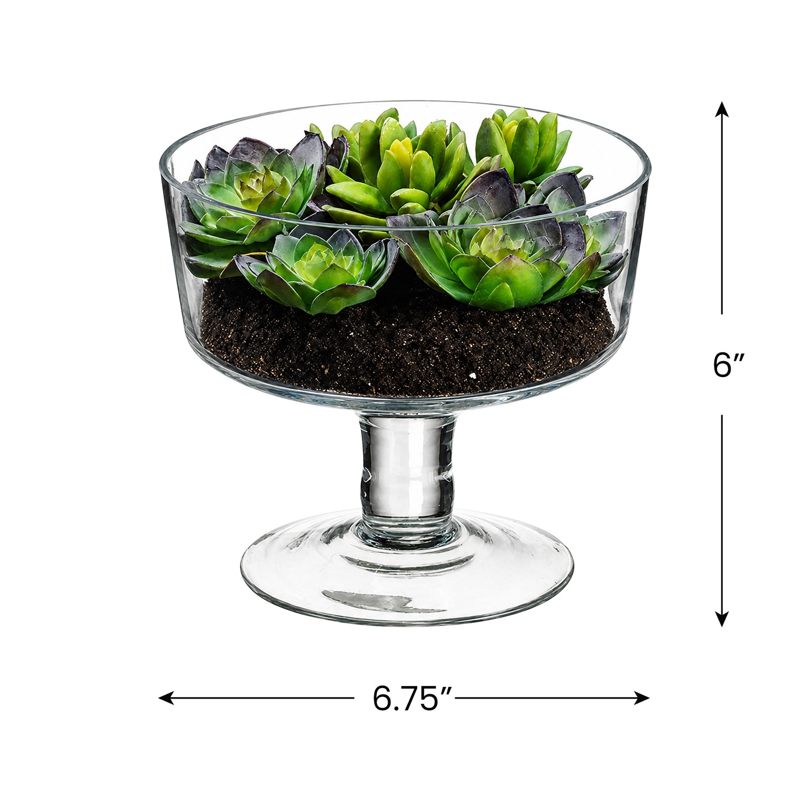 Allstate 6.75IN Artificial Spring Succulent Garden in Clear Glass Vase