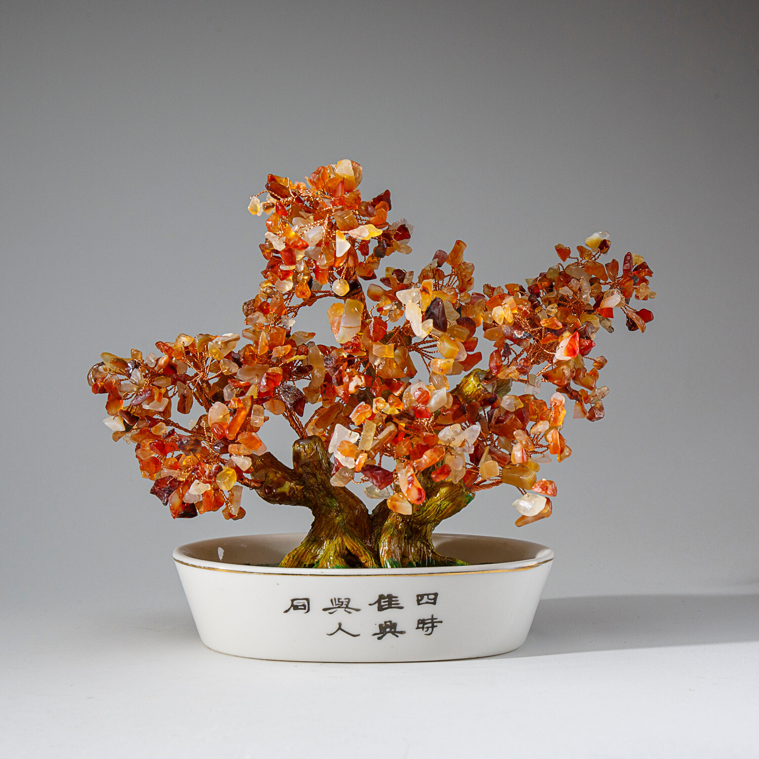 Genuine Carnelian Bonsai Gemstone Tree in Oval Ceramic Pot (8”)