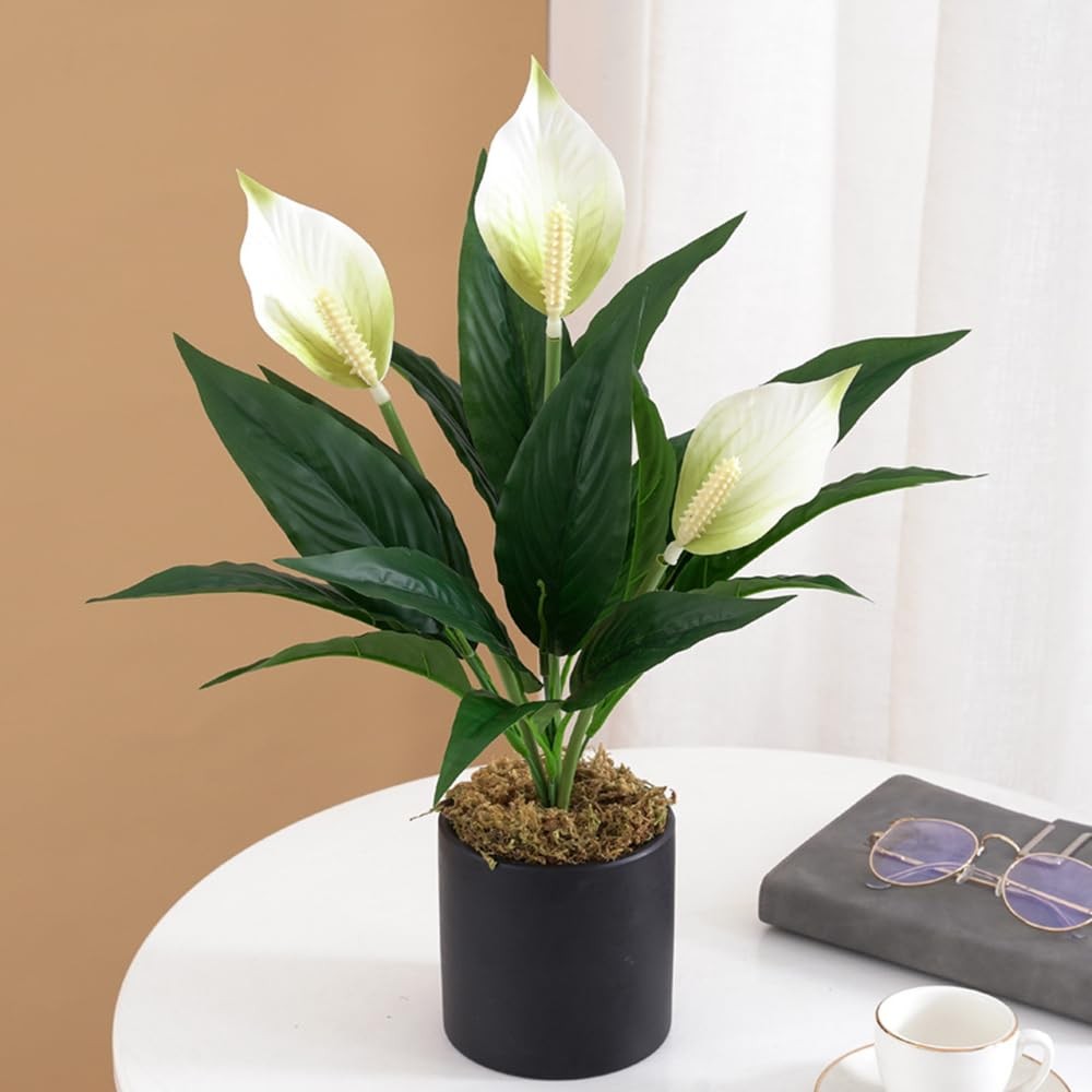 2 Packs Artificial Spathiphyllum Silk Plants 18.5″ Faux Peace Lily Anthurium …