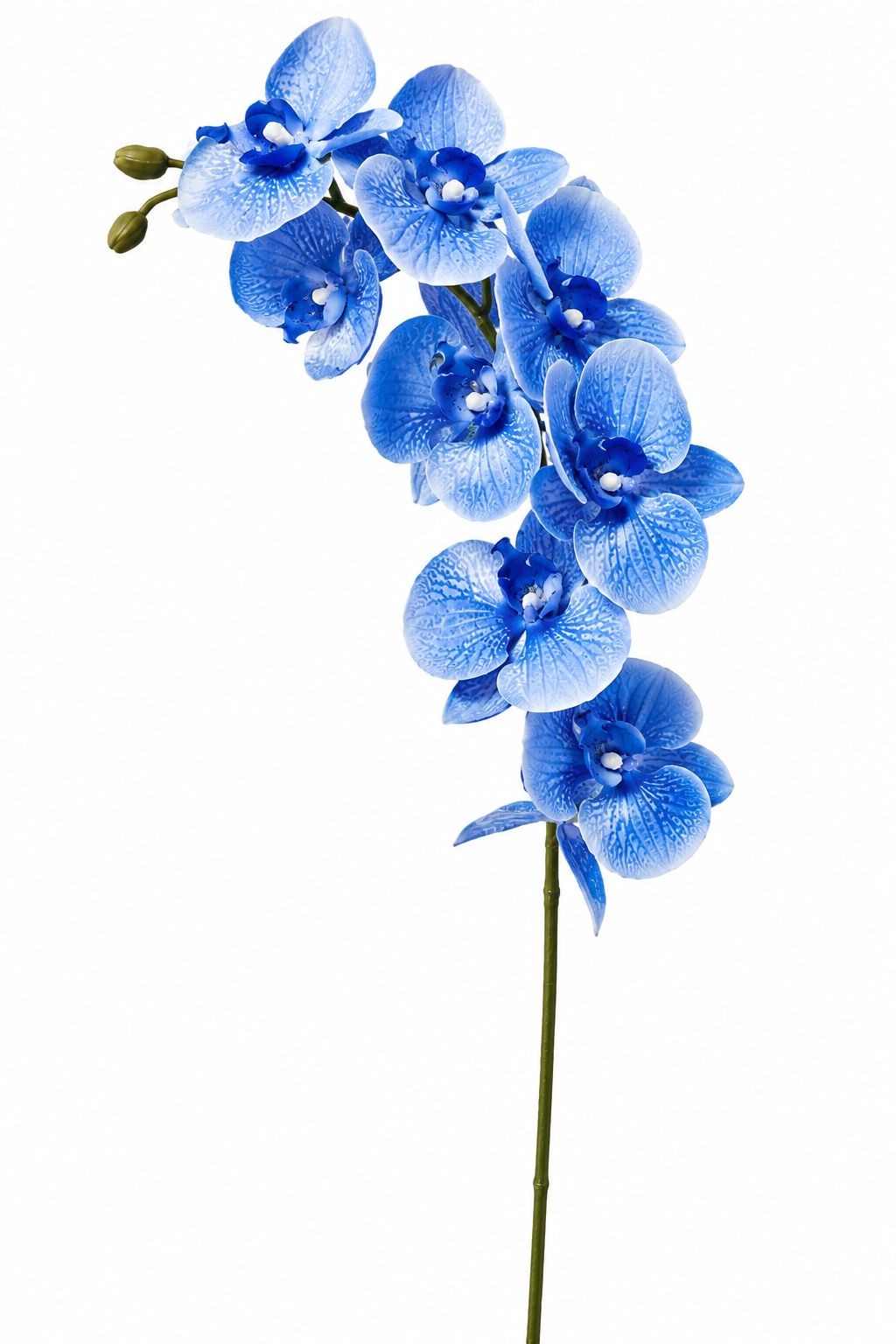 Artificial Silk Blue Orchid Stem 25 Inch Faux Phalaenopsis Flower Wedding Center