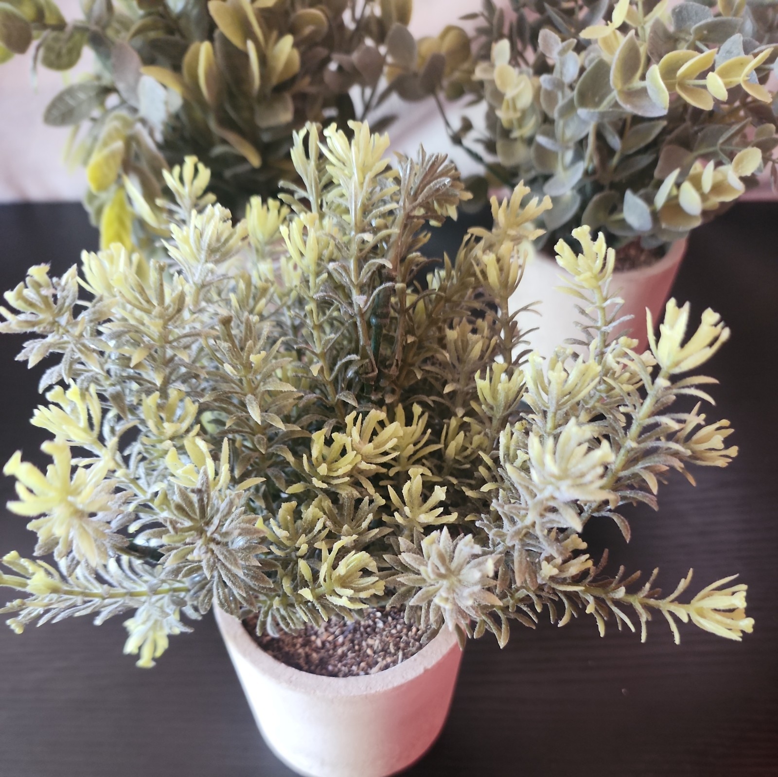 Der Rose 3 Pack Mini Artificial Plants & Pots Decor Eucalyptus Rosemary Boxwood