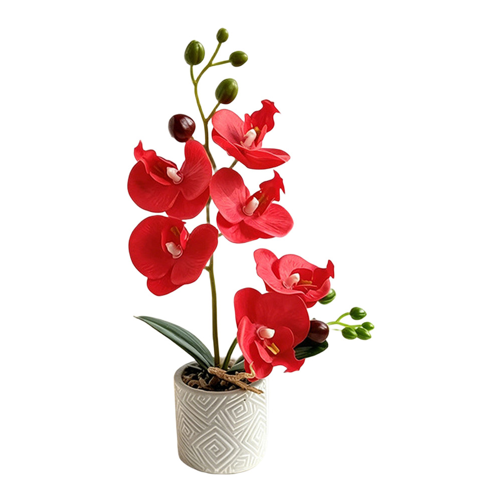 Fake Orchid Flower Plant in Cement Pot for Contemporary For Home Decoration