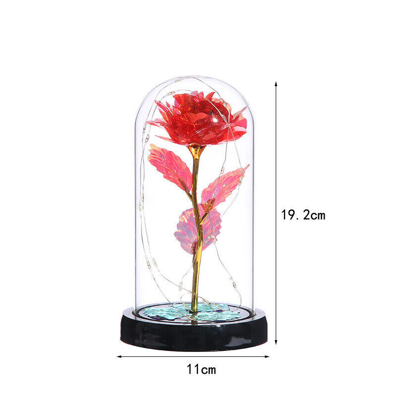 Mothers Day Mom Gifts Mothers Day Rose Flowers Gifts for Mom Wife Grandma Daugh