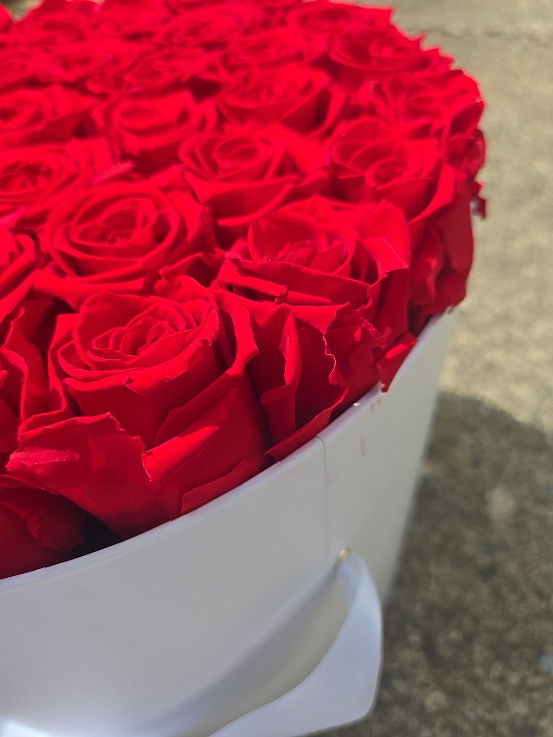 Venus et Fleur Red Roses Flower Box Arrangement Large White Container 40+ Roses