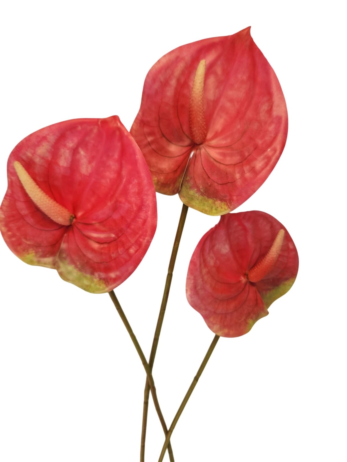 Pink Artificial Anthurium Stems Set of 3, 23 Inch Faux Modern Tropical Decor