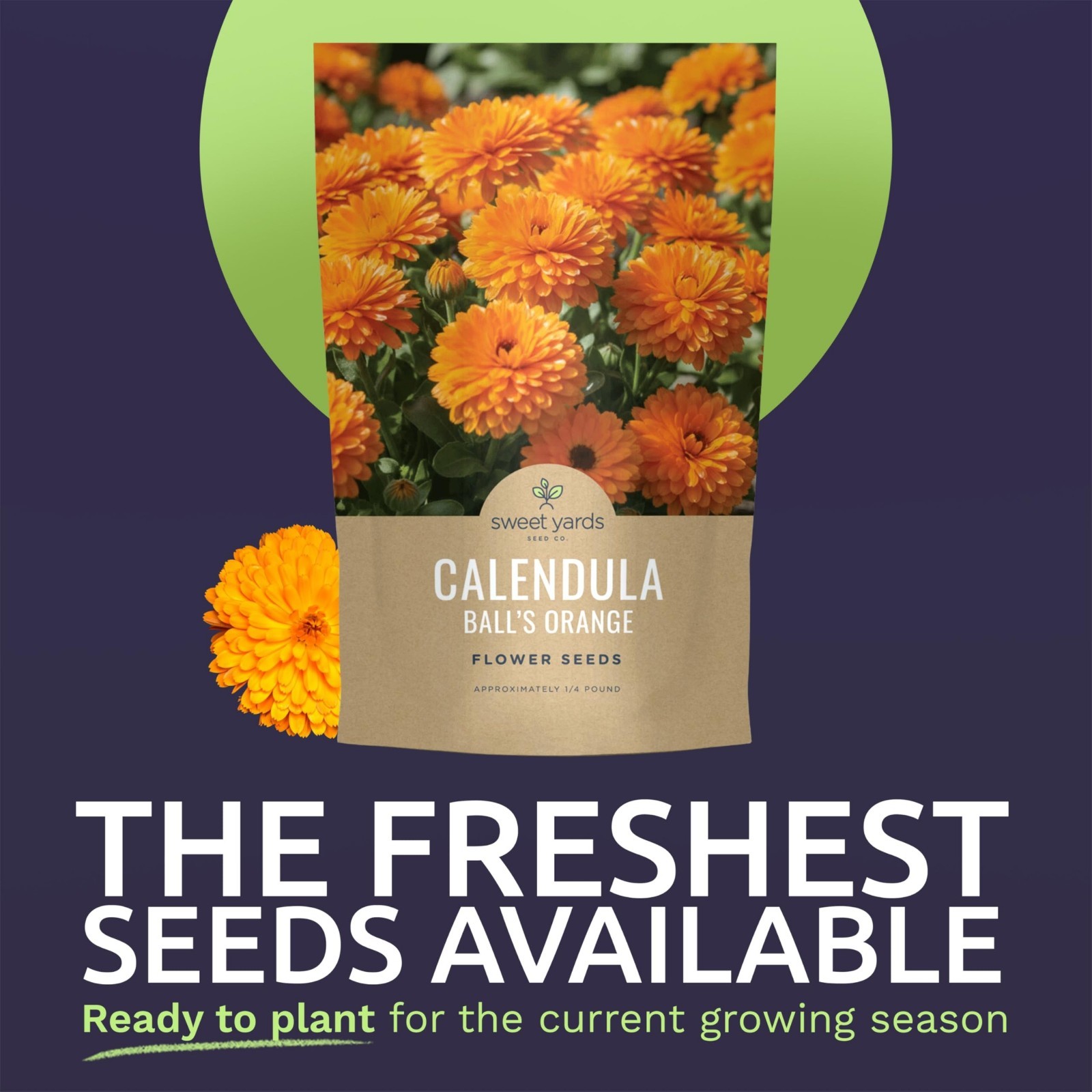 Organic Calendula Balls – Natural Skin Care, Healing, Herbal Remedy, 100% Pure