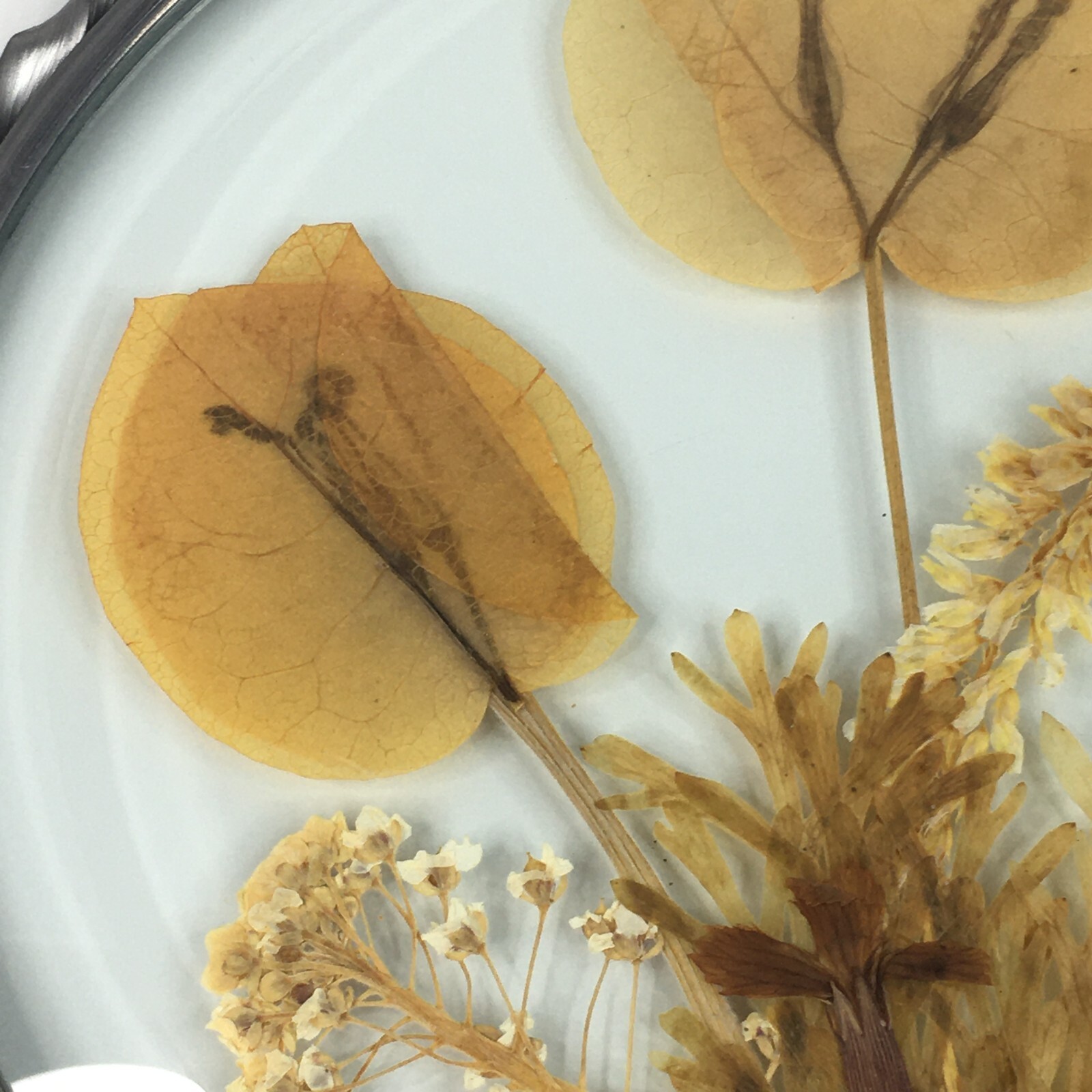Lasting Impressions Real Flowers Glass Wall Hanging Pressed Flowers USA Floral