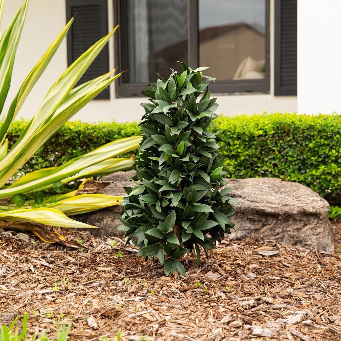 3′ UV Artificial Laurel Plant with Integrated Ground Stake (Indoor/Outdoor)