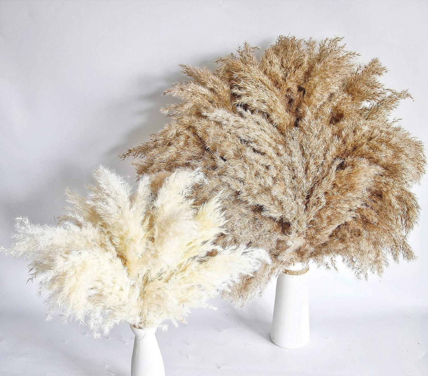 60 PCS Boho Decor, Fluffy Pompas Grass, Natural Dry Pampas Grass Small, Short Pa