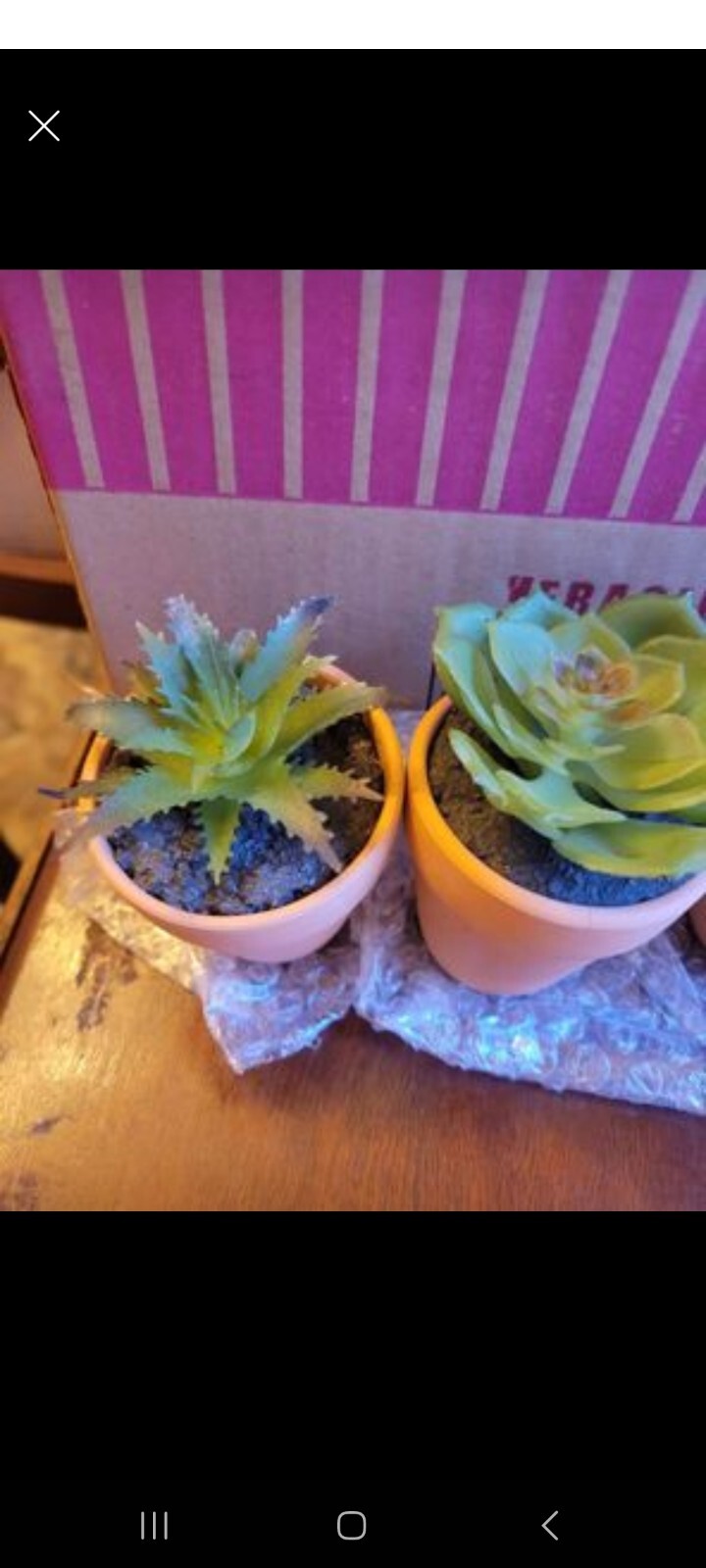 Set Of 8 Mini Faux Succulents With Terracotta Pots perfect for wedding favors