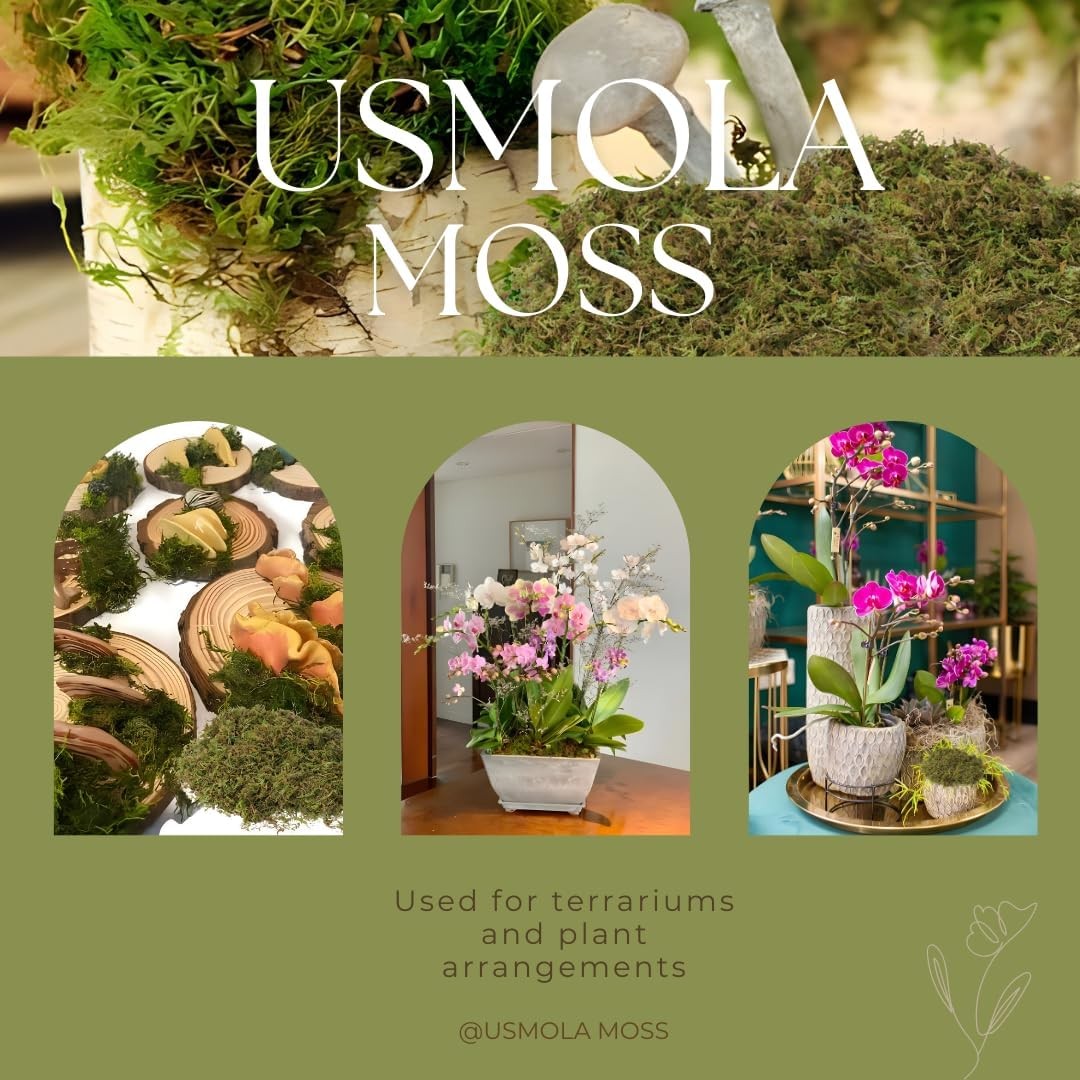 Fake Green Moss for Potted Plants, 4OZ Artificial Moss for DIY Crafts, Faux Moss