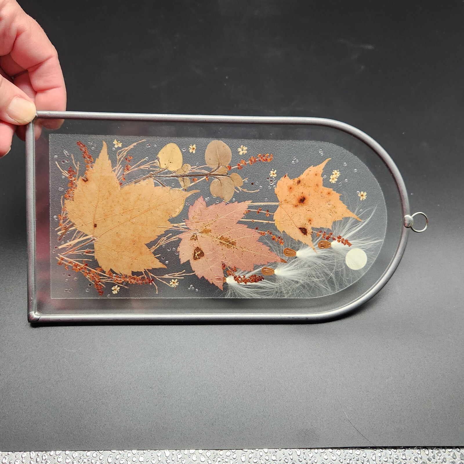Canada Henni Original Pressed Leaves Seeds Glass Window Hanging Original Label