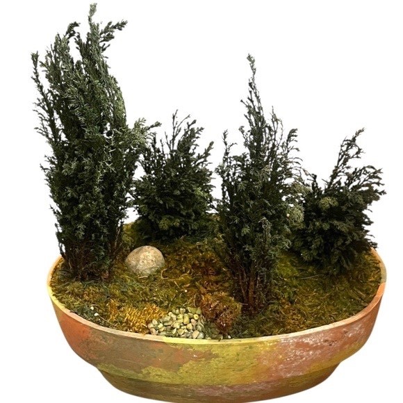 FOREVER GREEN ART Potted Quartet Mini Cypress Tree In Oval Terra Cotta Planter