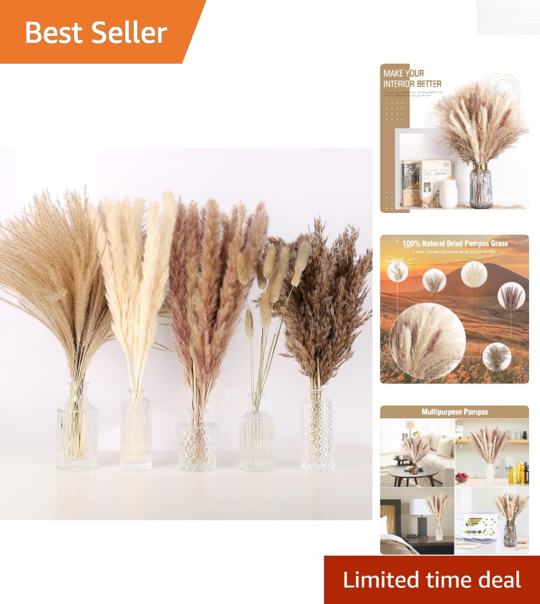 Stylish Dried Floral Collection – Pampas, Bunny Tails & Reeds for Timeless Decor