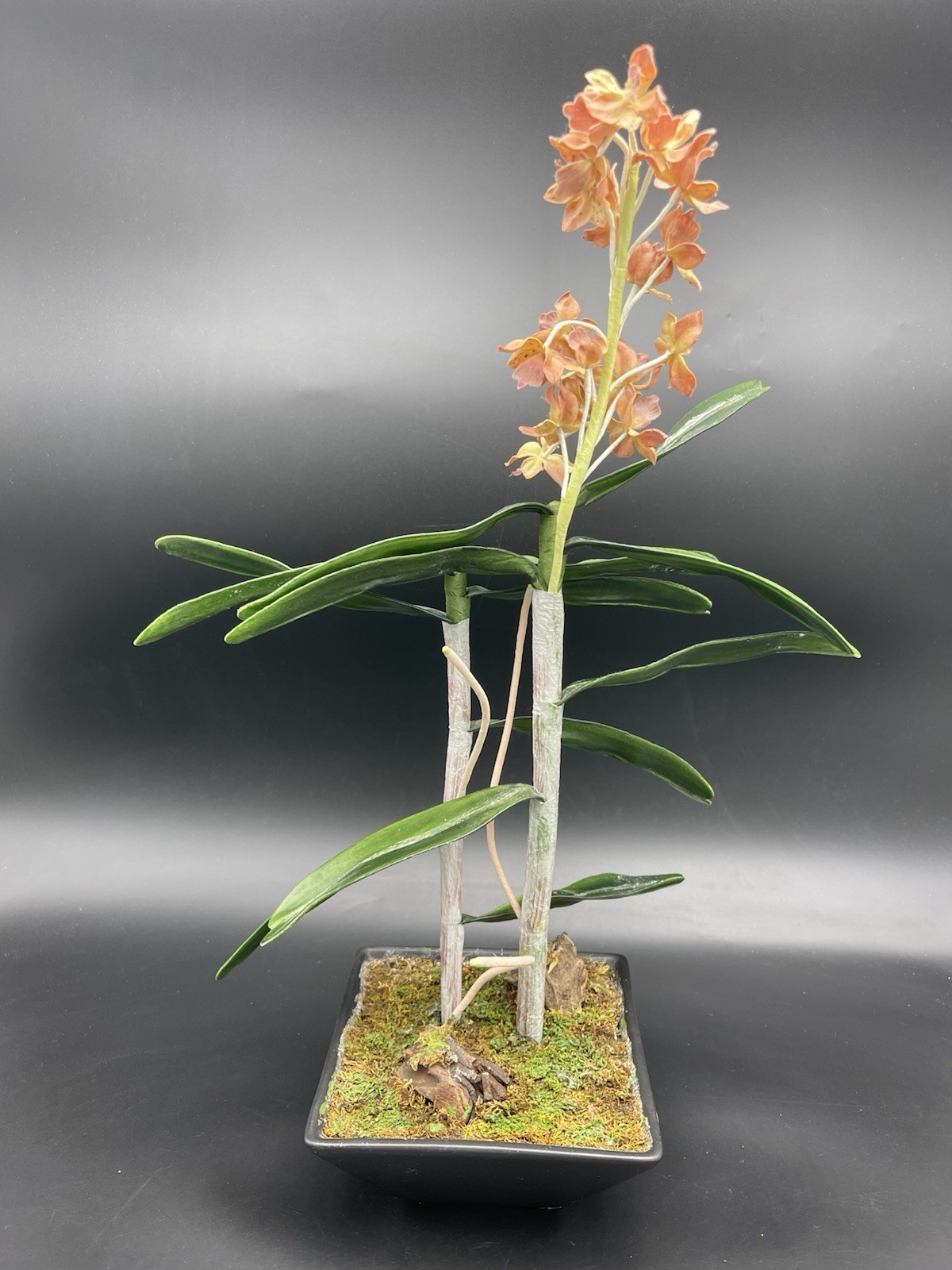 19″ Faux Orange Orchid Green Leaves Roots in Black Ceramic Pot