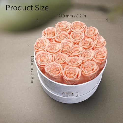 Gifts for Women Preserved Roses Flower Box, Luxury Velvet 20 Roses Peach Pink
