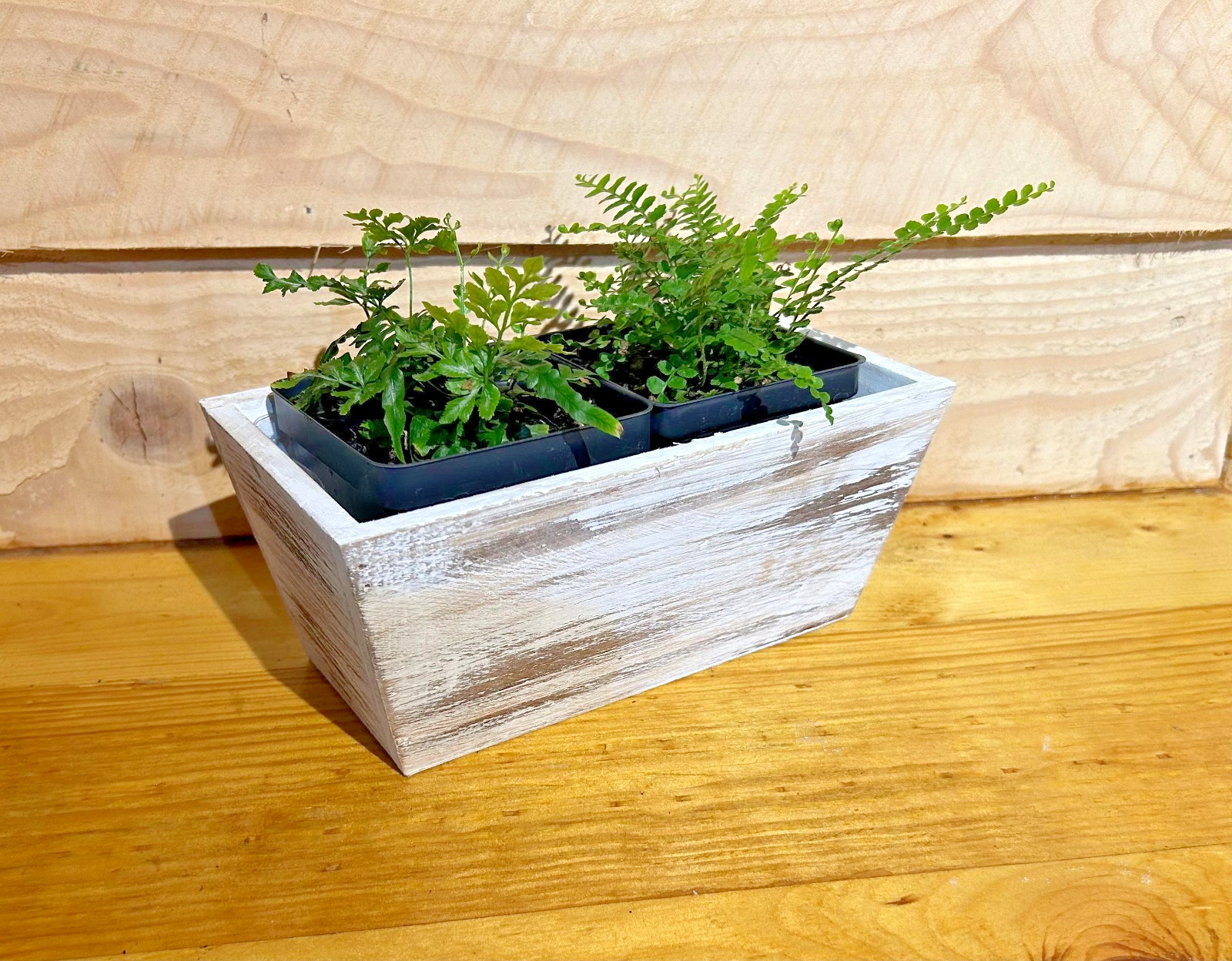 Happy Halloween White Wood Planter Box W/Plastic Liner 8″ x 4″ x 4″ no Plant