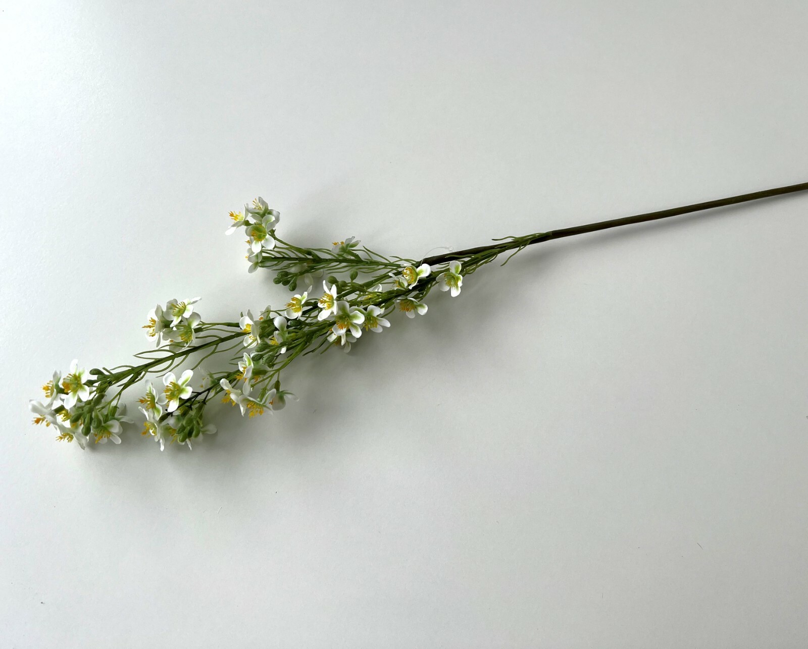 Geraldton Wax Flower Australian Native Flowers White Green Wax Stem Artificial 1