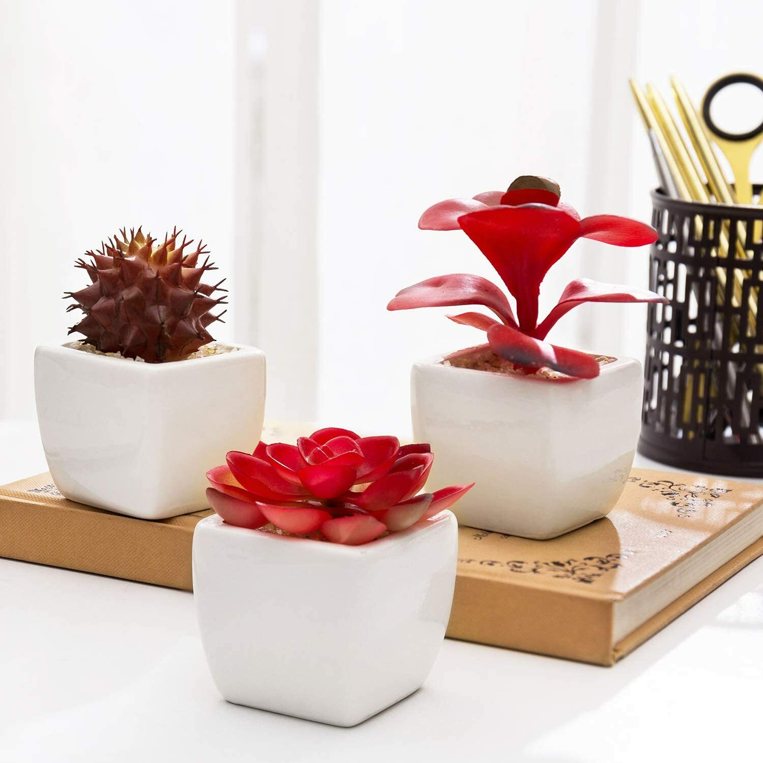 Red Artificial Succulent Plants in White Ceramic Pots, Plant Container, Set of 3