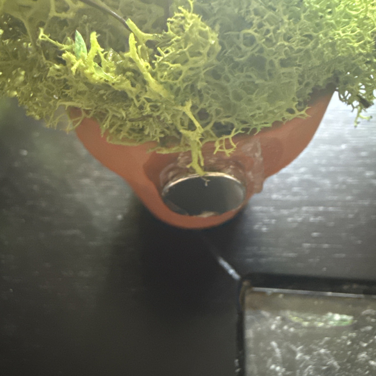 Handmade Miniature Dainty Beaded Indoor Plant W/Magnet – Never Needs Watering!