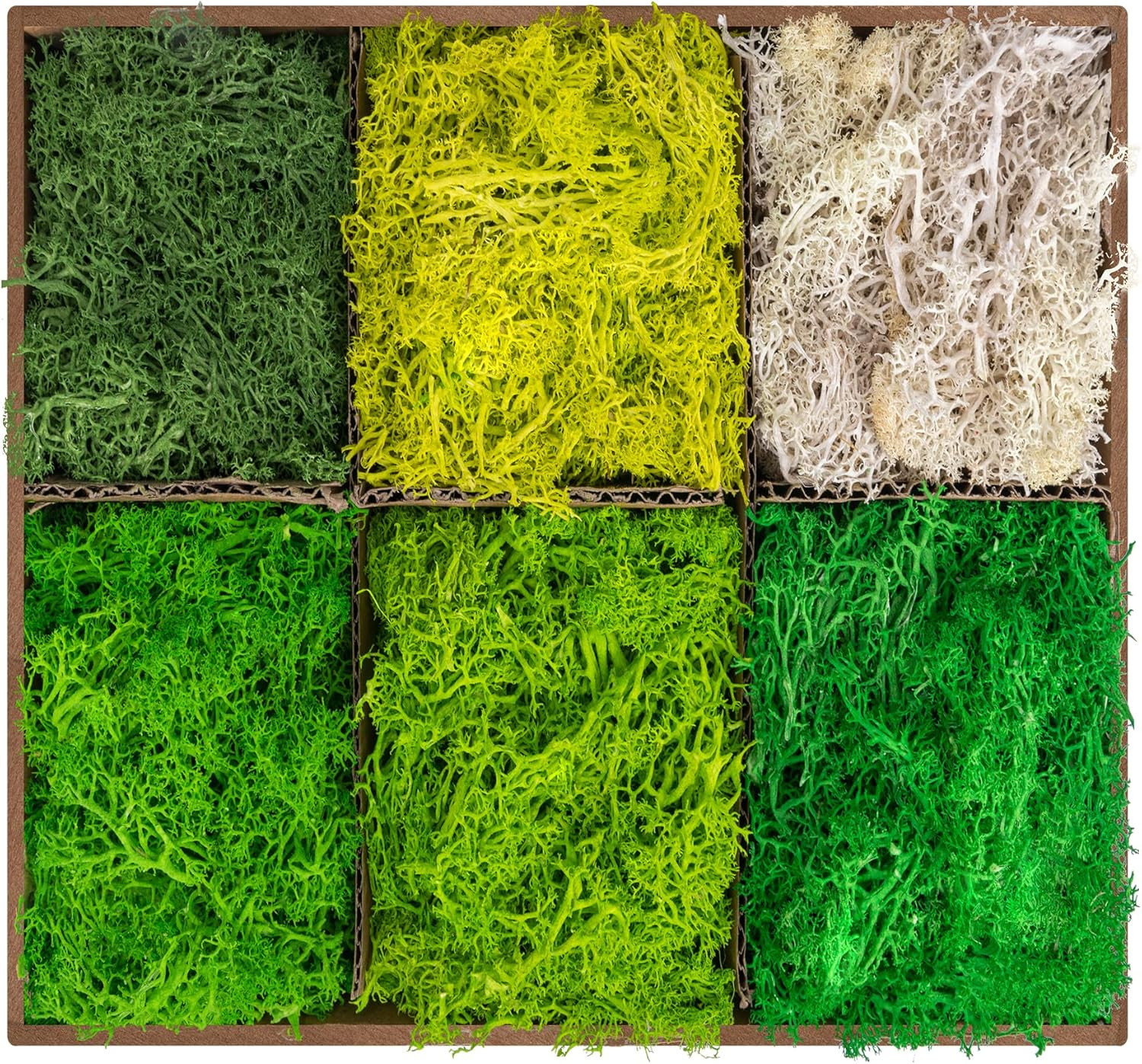 6 Colors Preserved Moss-16.9 OZ Natural Reindeer Moss-Moss for Crafts, Potted Pl