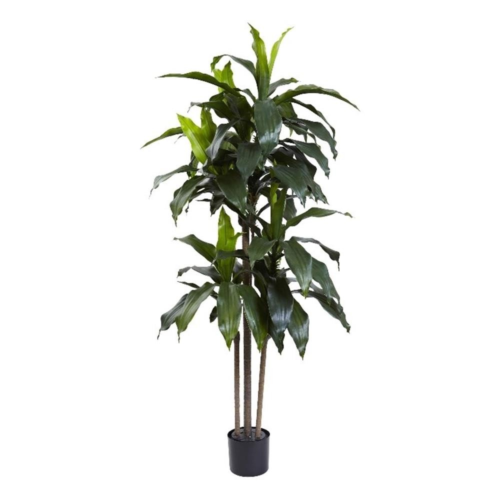 Pemberly Row Indoor/Outdoor 60″ Dracaena Plant UV Resistant in Green/Black